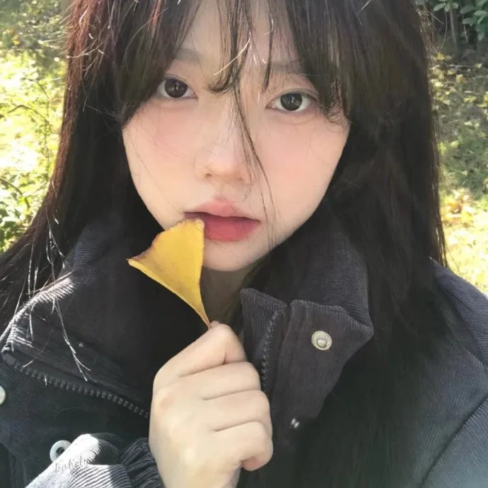 横门寻春 海报